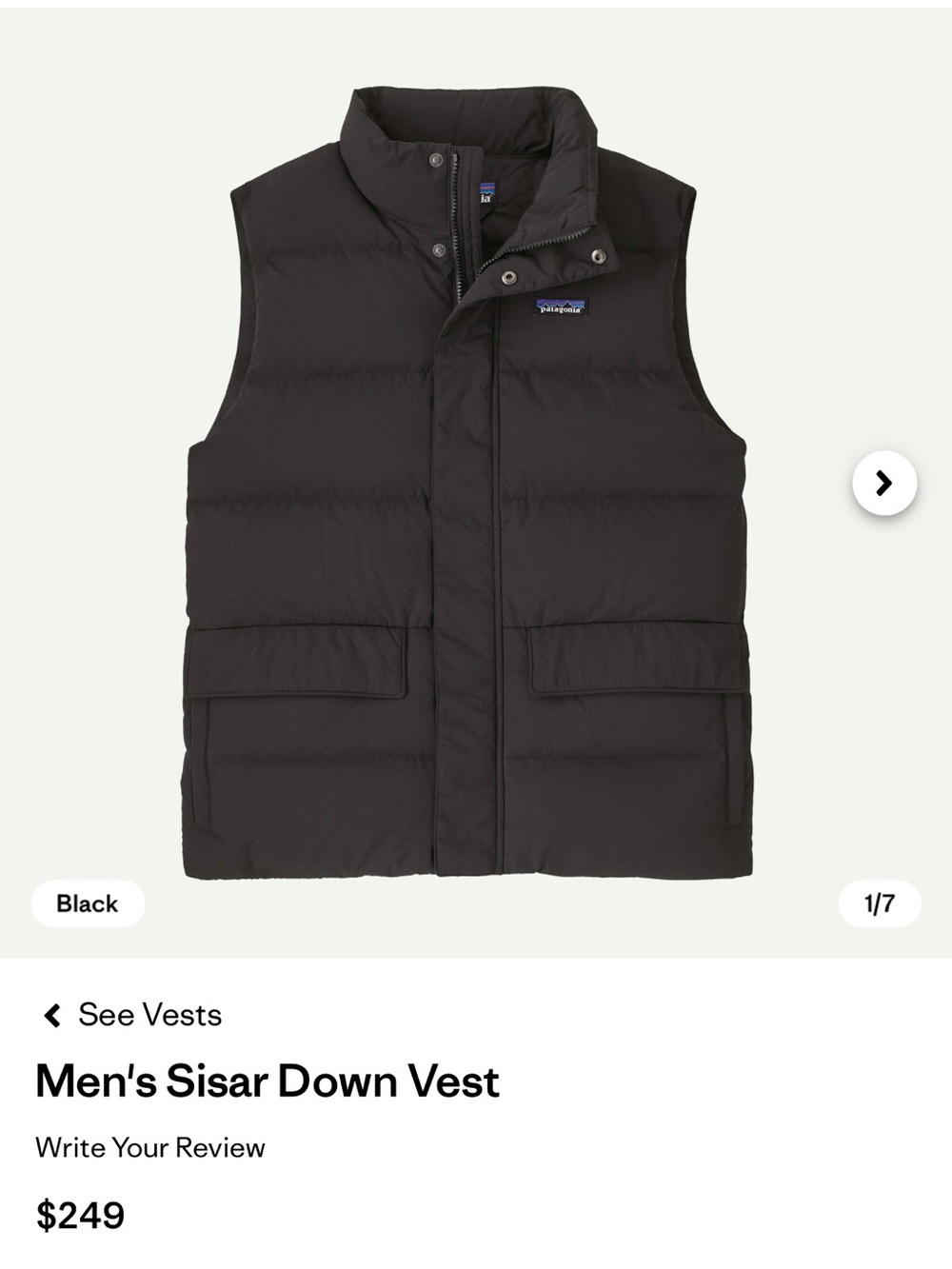 Patagonia Down Vest
